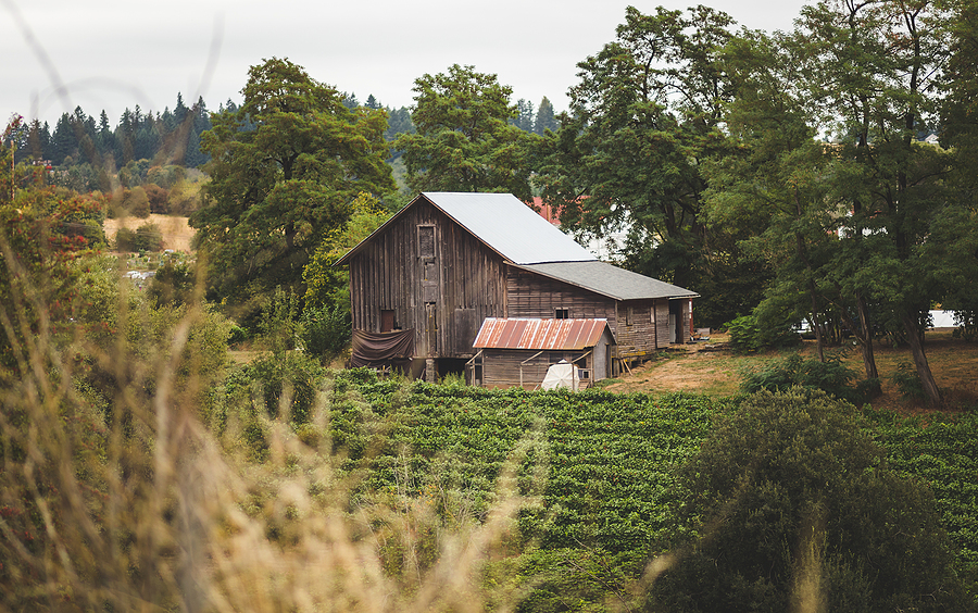 Old barn in Lake Oswego, Oregon