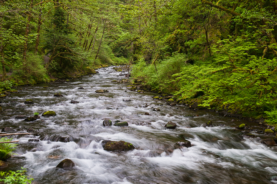 Rushing stream near Troutdale, Oregon